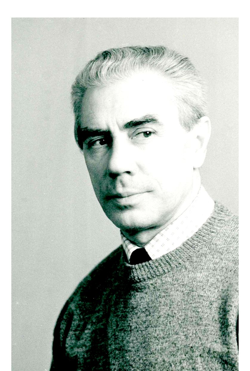 Владимир Маркин